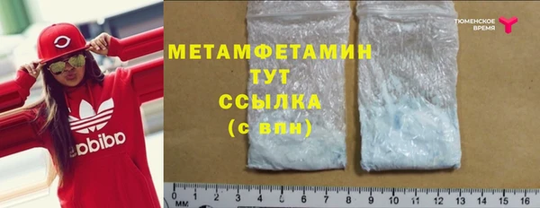 шишки Няндома