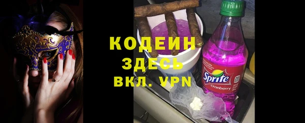 шишки Няндома