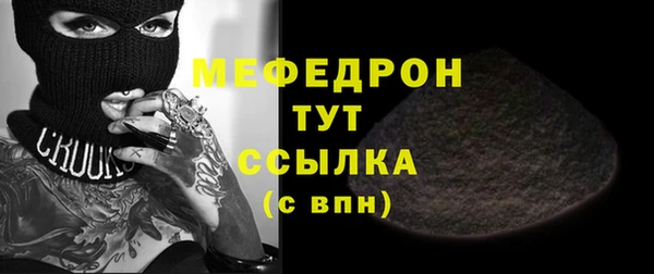 шишки Няндома
