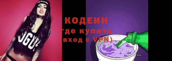шишки Няндома