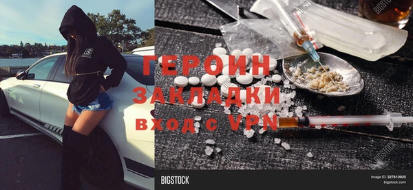 шишки Няндома