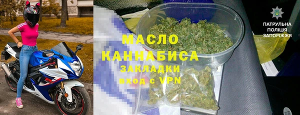 шишки Няндома