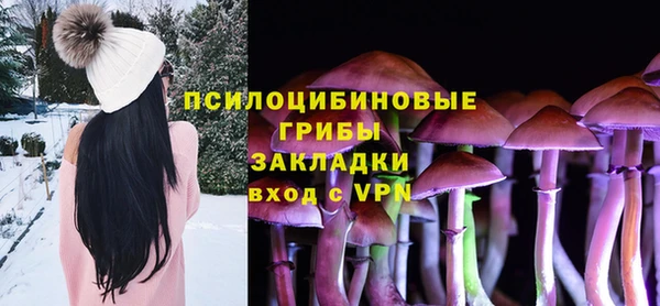 молекула духа Нязепетровск