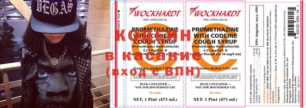 шишки Няндома