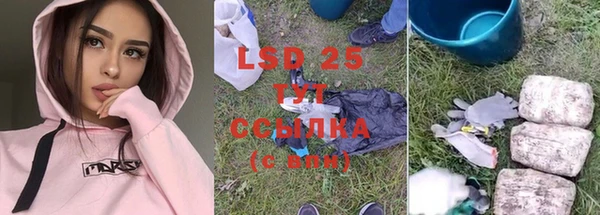 шишки Няндома