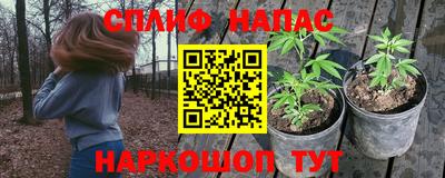 mix Будённовск