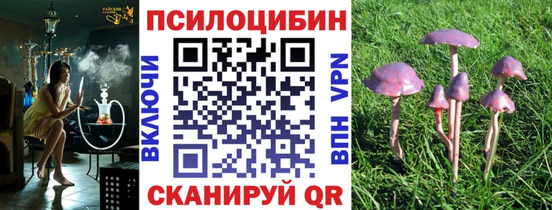 Галлюциногенные грибы Cubensis  Коряжма 