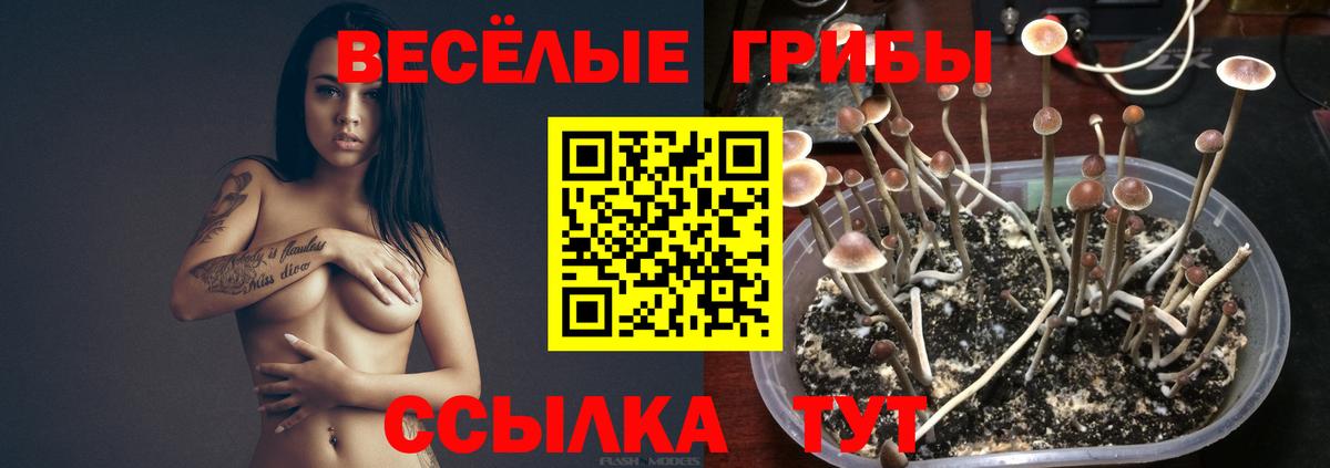 MDMA  Гашиш  Купить наркотики  Героин  Коряжма  COCAIN  Мефедрон   Вход с VPN 